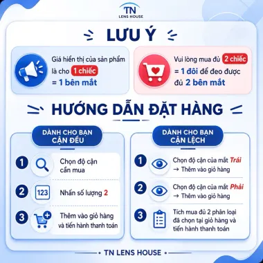 (GIÁ 1 CHIẾC) Lens 1Day Alice Gray Giãn Tròng 14.5mm tone Xám đen bí ẩn