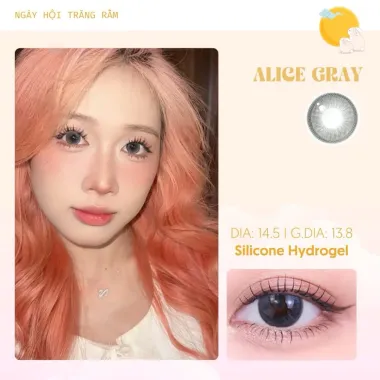 (GIÁ 1 CHIẾC) Lens 1Day Alice Gray Giãn Tròng 14.5mm tone Xám đen bí ẩn