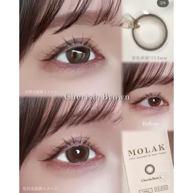 (GIÁ 1 ĐÔI) Molak 1Day – lens Nhật chính hãng