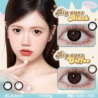 BST Big Eyes Series Black - Brown 14.5mm lens ̉ tháng UYAAI/Fresh Lady