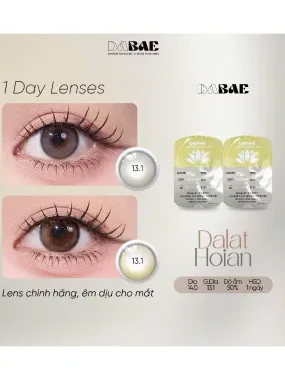 Lens 1Day Dabae Hoian và Dalat (Giá 1 CHIẾC)