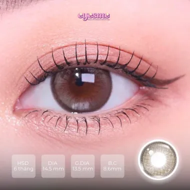 Lens 1Day DOROTHY BROWN - Lens giãn tròng 14.5 tone nâu tự nhiên