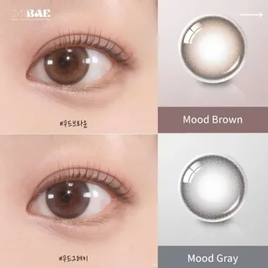 LENS 1DAY Moodnight Gray chính hãng từ OLENS