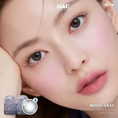 LENS 1DAY Moodnight Gray chính hãng từ OLENS