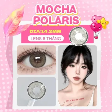 Lens 6 Tháng Fresh Lady mẫu xám tây Mocha Polaris giãn nhẹ 14.2mm(Giá 1 chiếc)