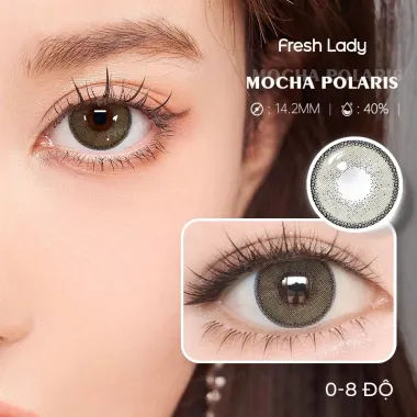 Lens 6 Tháng Fresh Lady mẫu xám tây Mocha Polaris giãn nhẹ 14.2mm(Giá 1 chiếc)