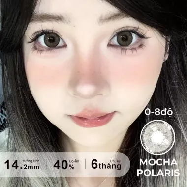 Lens 6 Tháng Fresh Lady mẫu xám tây Mocha Polaris giãn nhẹ 14.2mm(Giá 1 chiếc)