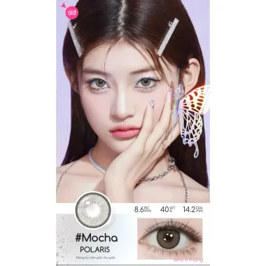 Lens 6 Tháng Fresh Lady mẫu xám tây Mocha Polaris giãn nhẹ 14.2mm(Giá 1 chiếc)