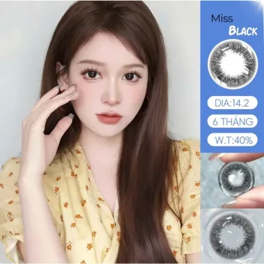 Lens 6 Tháng Fresh Lady - Miss Black giãn nhẹ 14.2mm (Giá 1 đôi)