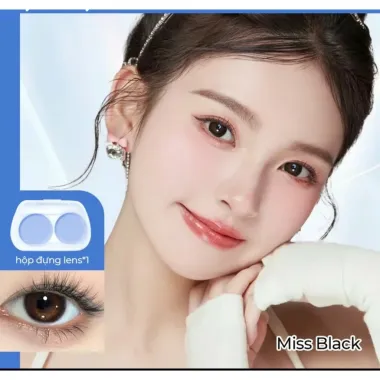 Lens 6 Tháng Fresh Lady - Miss Black giãn nhẹ 14.2mm (Giá 1 đôi)