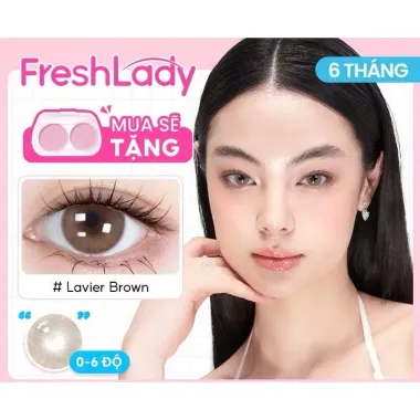Lens 6 Tháng Fresh Lady mẫu Lavier Brown NÂU KHÓI- giãn nhẹ 14.2mm (GIÁ 1 CHIẾC)
