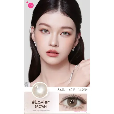 Lens 6 Tháng Fresh Lady mẫu Lavier Brown NÂU KHÓI- giãn nhẹ 14.2mm (GIÁ 1 CHIẾC)