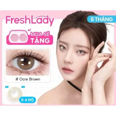 Lens 6 Tháng Nâu Tây mẫu Orce Brown giãn nhẹ 14.2mm (GIÁ 1 CHIẾC)