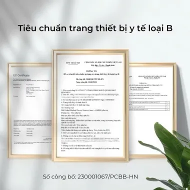 Lens Trong Suốt 1Day Fresh Lady (Giá 1 Đôi)