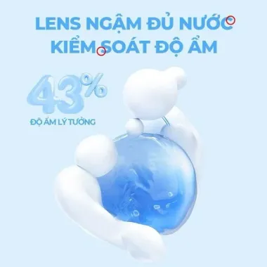 Lens Trong Suốt 1Day Fresh Lady (Giá 1 Đôi)