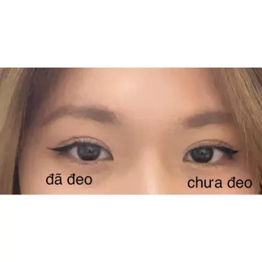 Series Loli lens 6 Tháng Fresh Lady không giãn 14.0mm